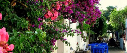 Demo Tur Sitesi