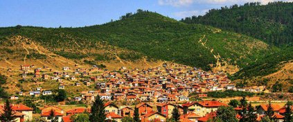 Demo Tur Sitesi