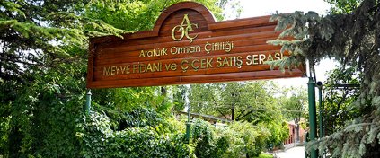 Demo Tur Sitesi